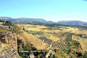 475- Ronda